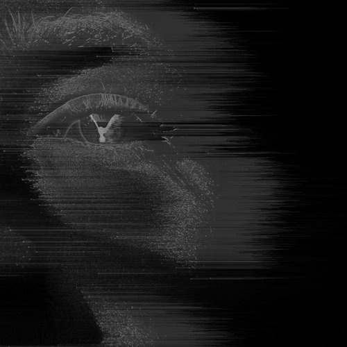 Freedom Come Freedom Go