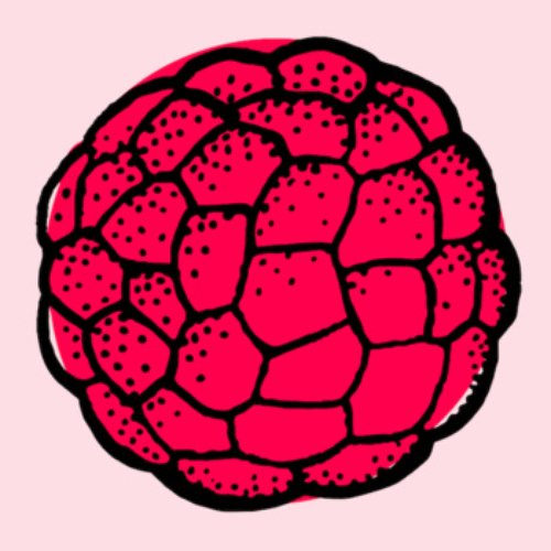 Raspberry EP
