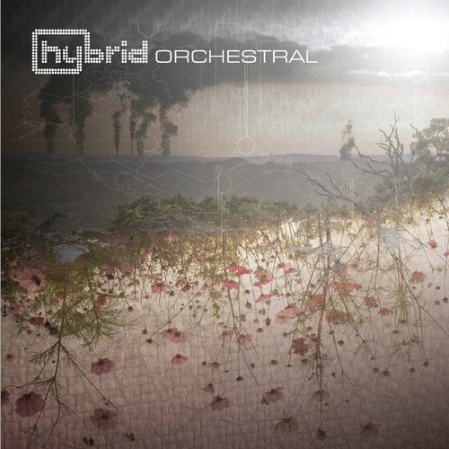 Orchestral