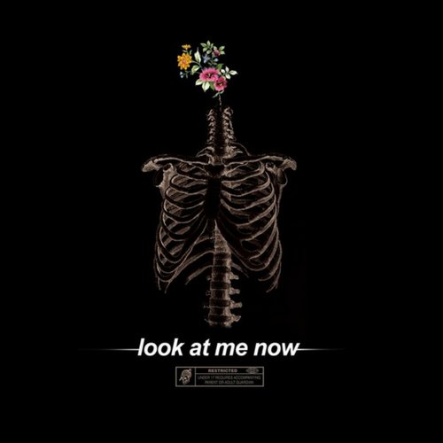 Look At Me Now - Single