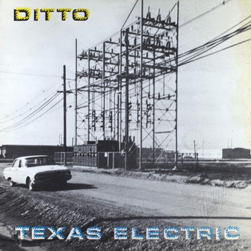 Texas Electric