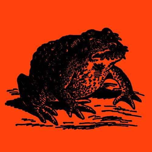 SLITHERING SHADOWS AT THE COLOSSAL CAVE