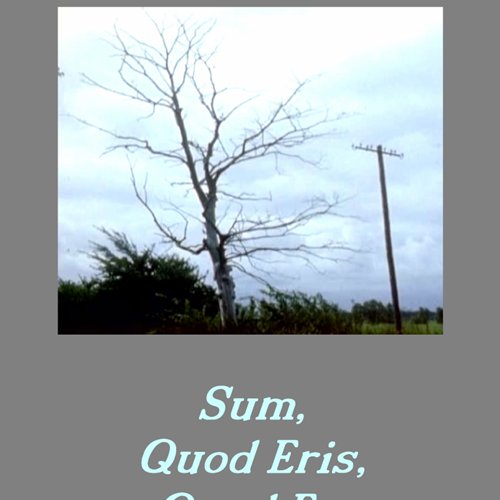 Sum, Quod Eris, Quod Es, Ante Fui