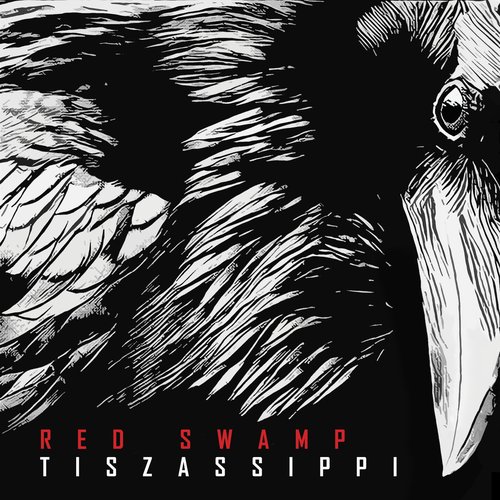 Tiszassippi