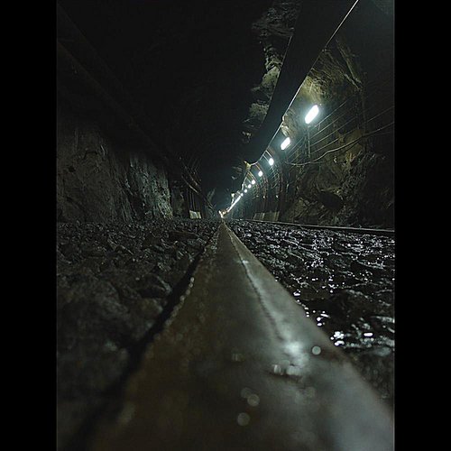 In the Basement