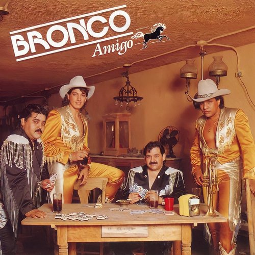 Bronco Amigo