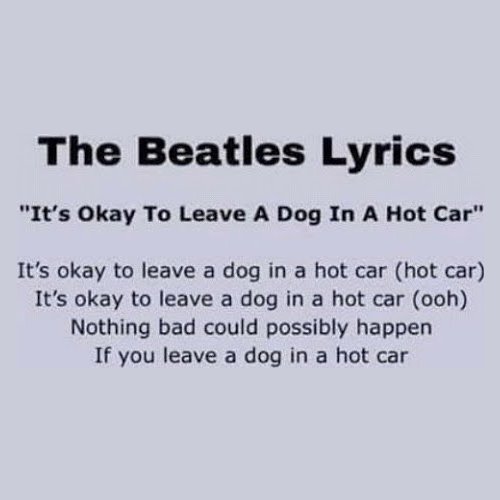 It's Okay To Leave A Dog In A Hot Car