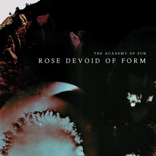 Rose Devoid of Form - Single