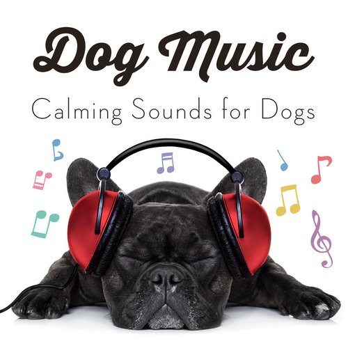 Dog Music - Calming Songs for Dogs