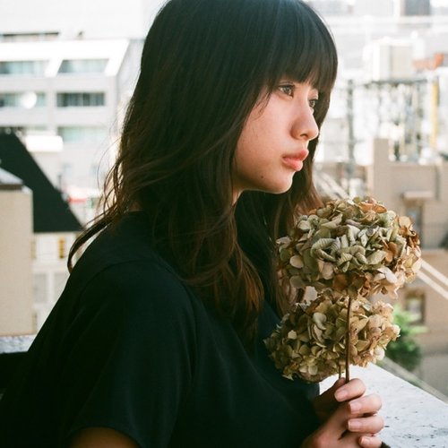 Dried Flower - Single