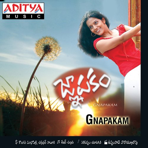 Gnapakam