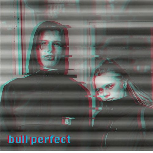 Bull Perfect