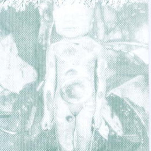 Pregnancy Rotten