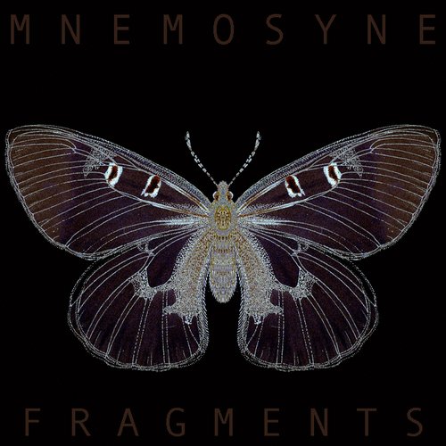 Fragments