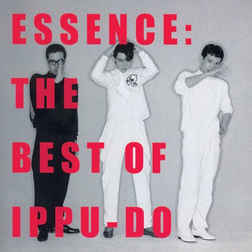 ESSENCE: THE BEST OF IPPU-DO