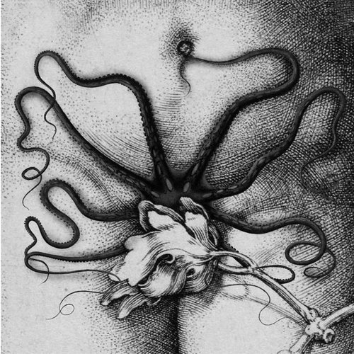 Organon / Biche - Split