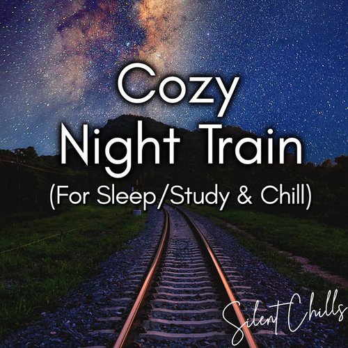 Cozy Night Train