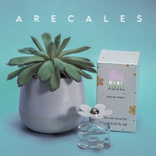 Arecales