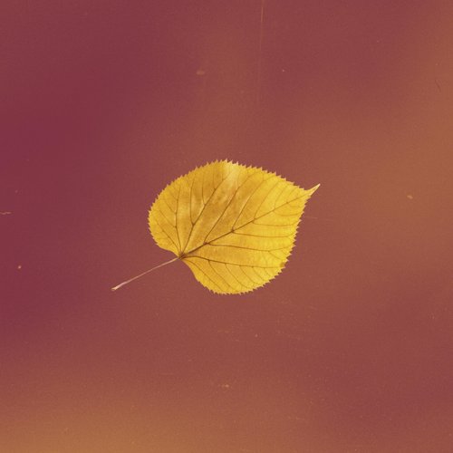 Autumn (feat. Jackson Lundy) - Single