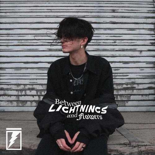 Between Lightnings And Flowers