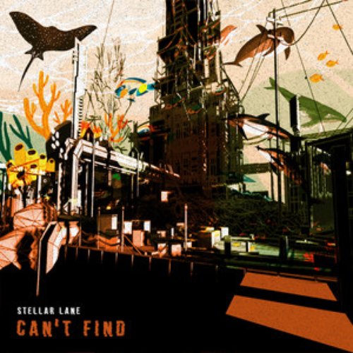 Can't Find