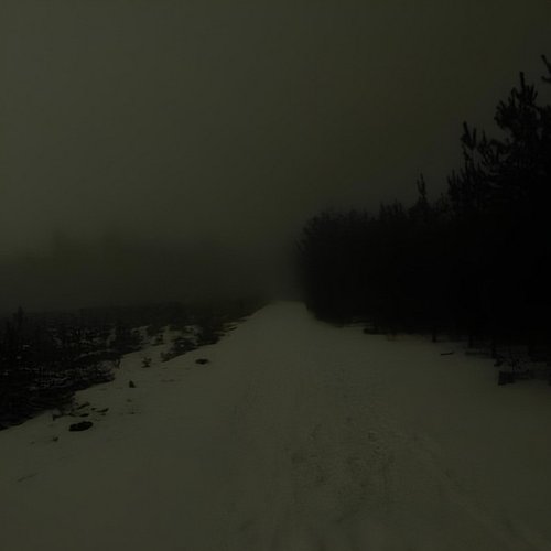 Виртуальная любовь