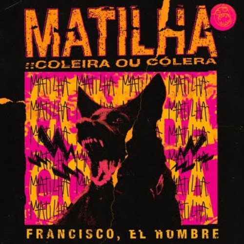 MATILHA :: coleira ou cólera