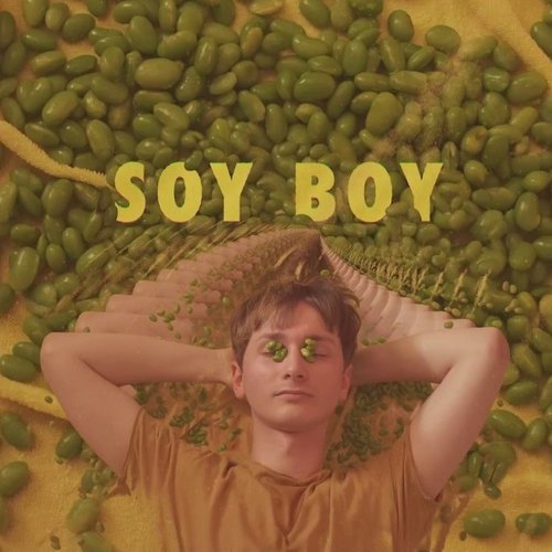 Soy Boy