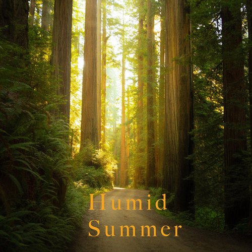 Humid Summer