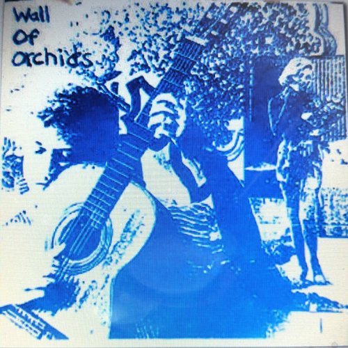 Wall of Orchids