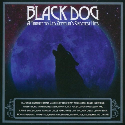 Black Dog: A Tribute to Led Zeppelin's Greatest Hits