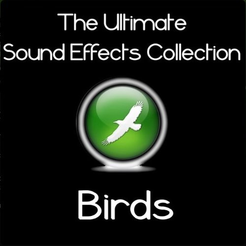 Ultimate Sound Effects Collection - Birds