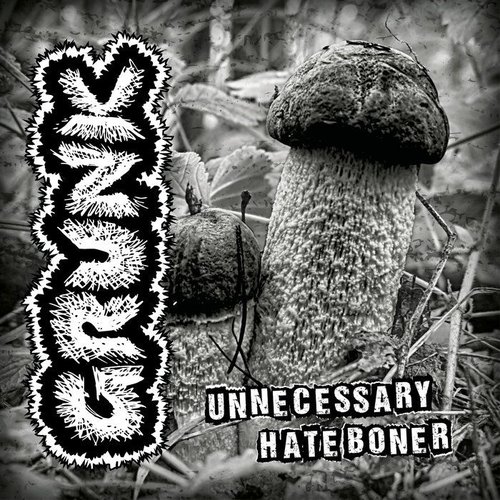 Unnecessary Hate Boner