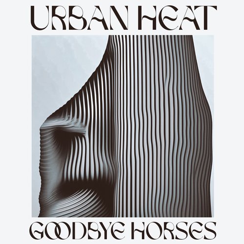 Goodbye Horses - Single