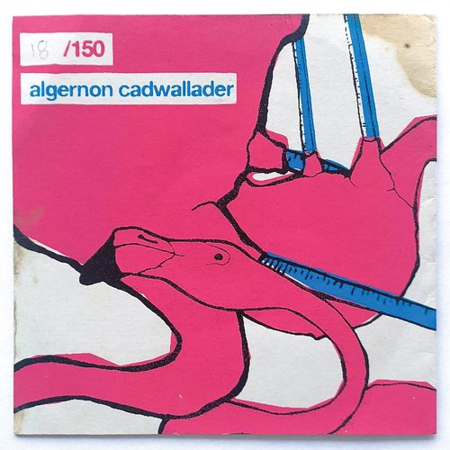 Algernon Cadwallader