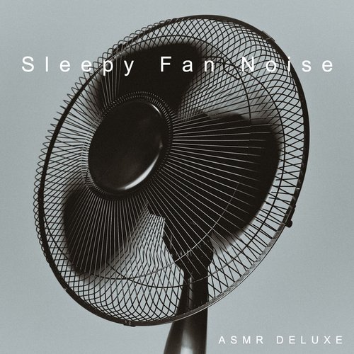 Sleepy Fan Noise