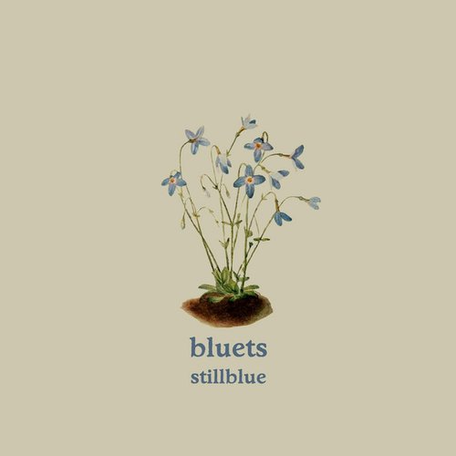 Bluets