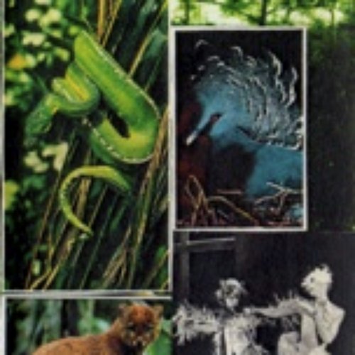 Menagerie