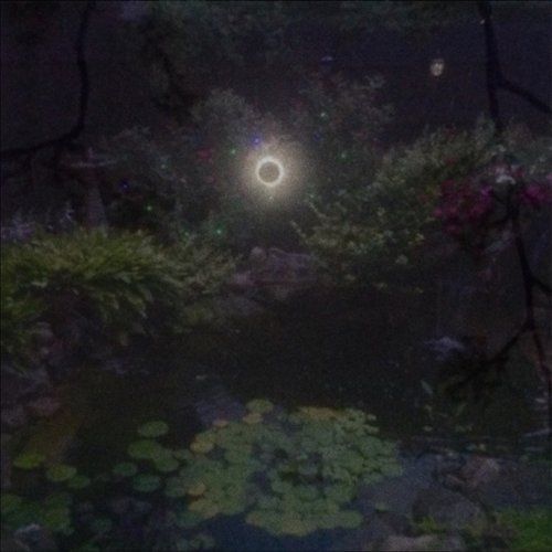 真夏の日の夢