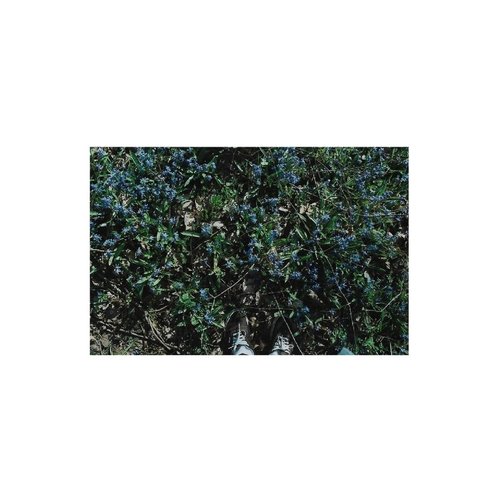discography 2016
