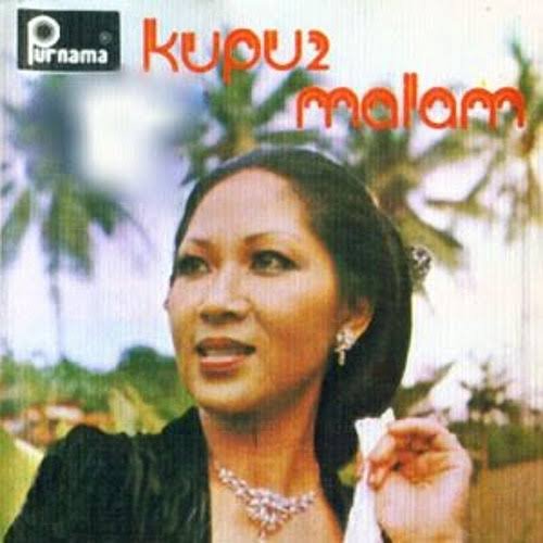 Kupu Kupu Malam