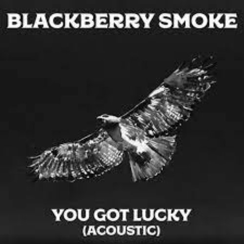 You Got Lucky (feat. Amanda Shires) [Acoustic Version]