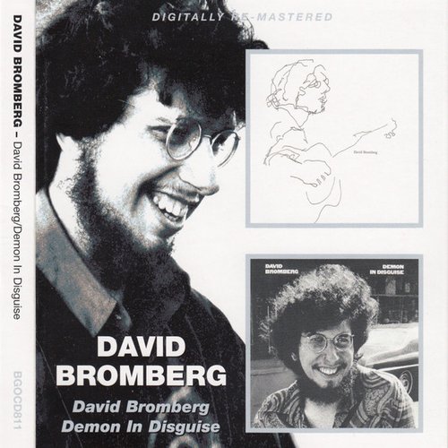 David Bromberg / Demon In Disguise