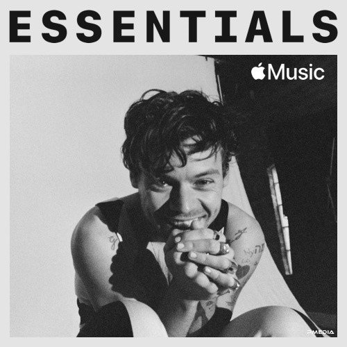 Harry Styles Essentials
