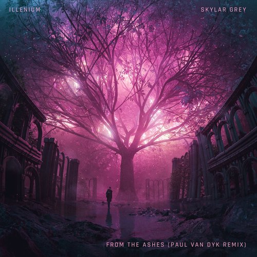 From The Ashes (with Skylar Grey) [Paul van Dyk Remix]
