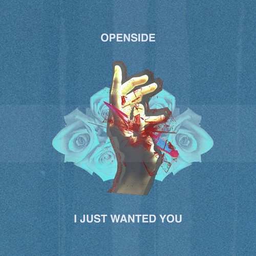 I Just Wanted You