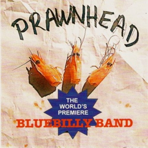 Worlds Premier Bluebilly Band