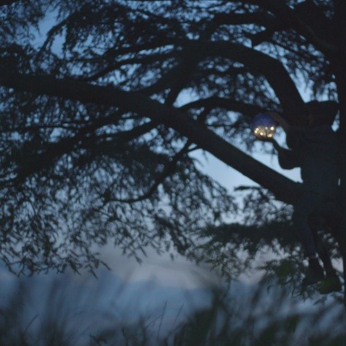 Living With The Moon - Single