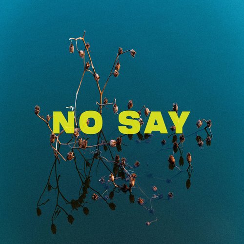 no say