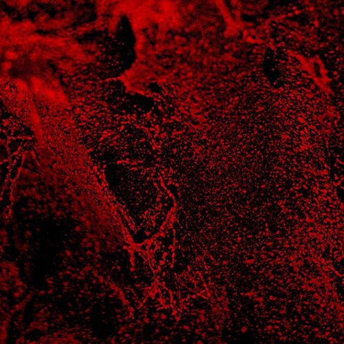 Aíma - EP